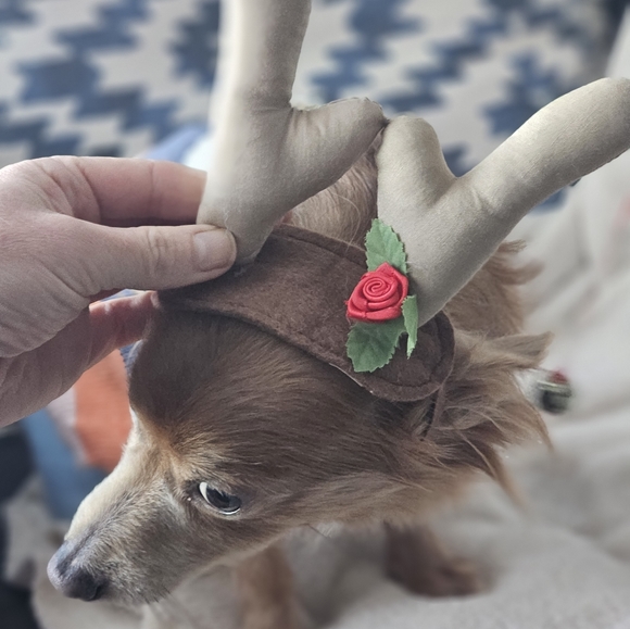 🖤3/$15 Pet Reindeer Antlers - Picture 1 of 6